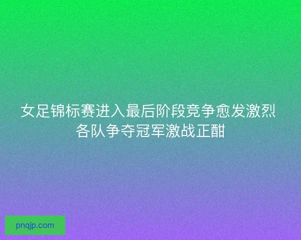 女足锦标赛进入最后阶段竞争愈发激烈 各队争夺冠军激战正酣