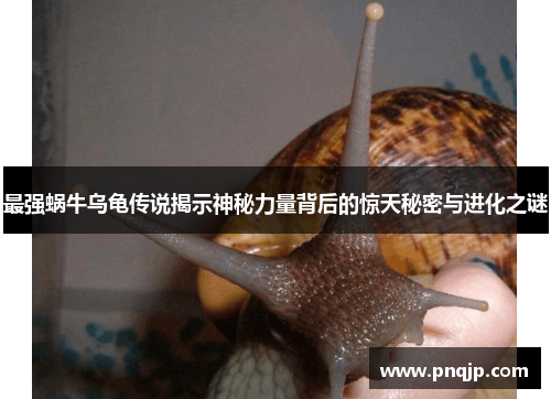 最强蜗牛乌龟传说揭示神秘力量背后的惊天秘密与进化之谜