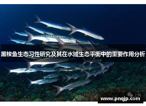 黑梭鱼生态习性研究及其在水域生态平衡中的重要作用分析