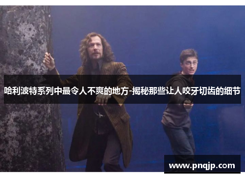 哈利波特系列中最令人不爽的地方-揭秘那些让人咬牙切齿的细节